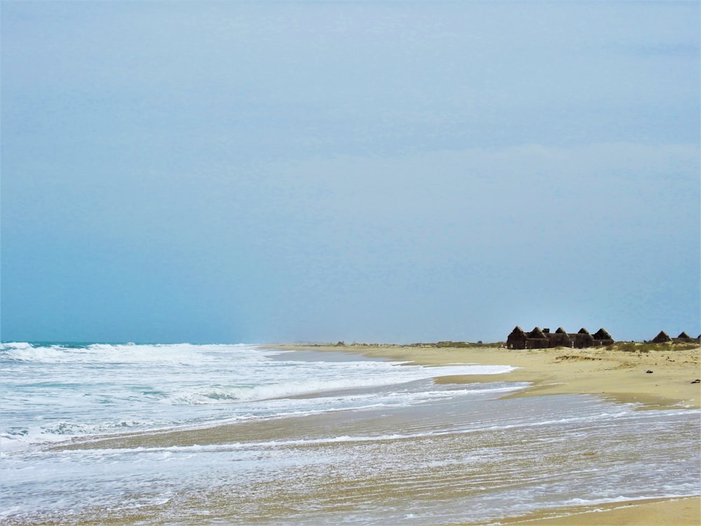photography of seashore during daytime