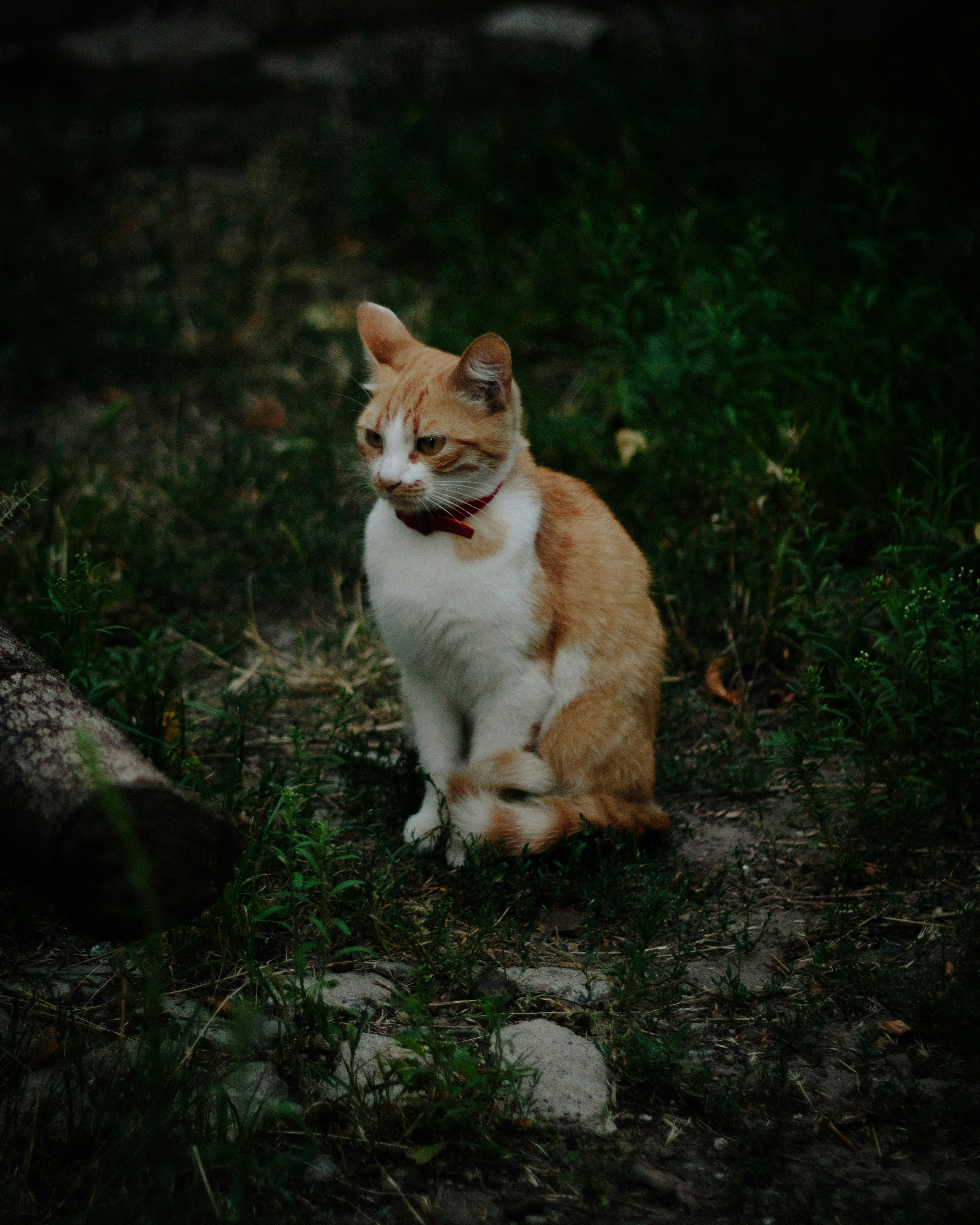 Photo by thewayofcolor