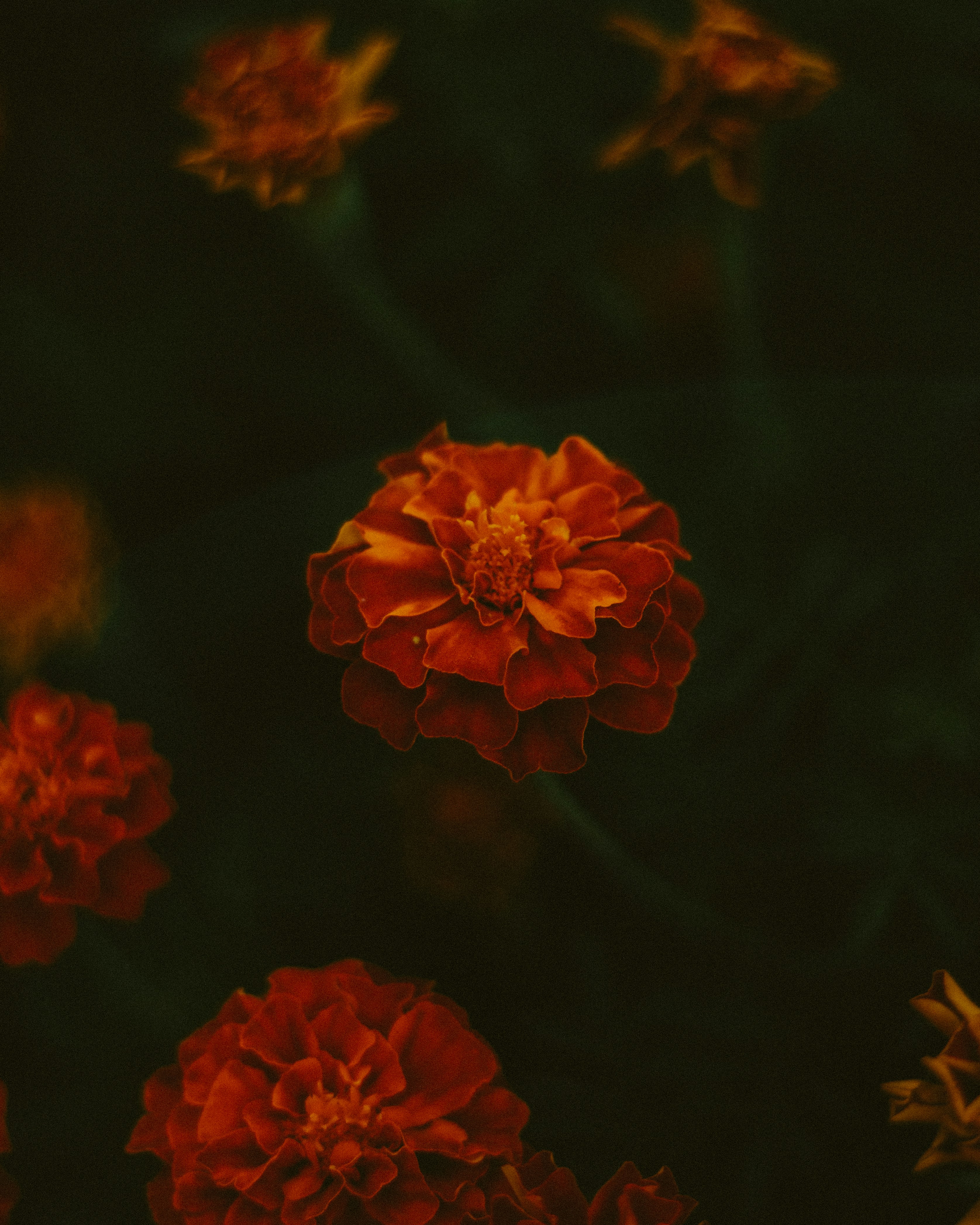 Photo by thewayofcolor