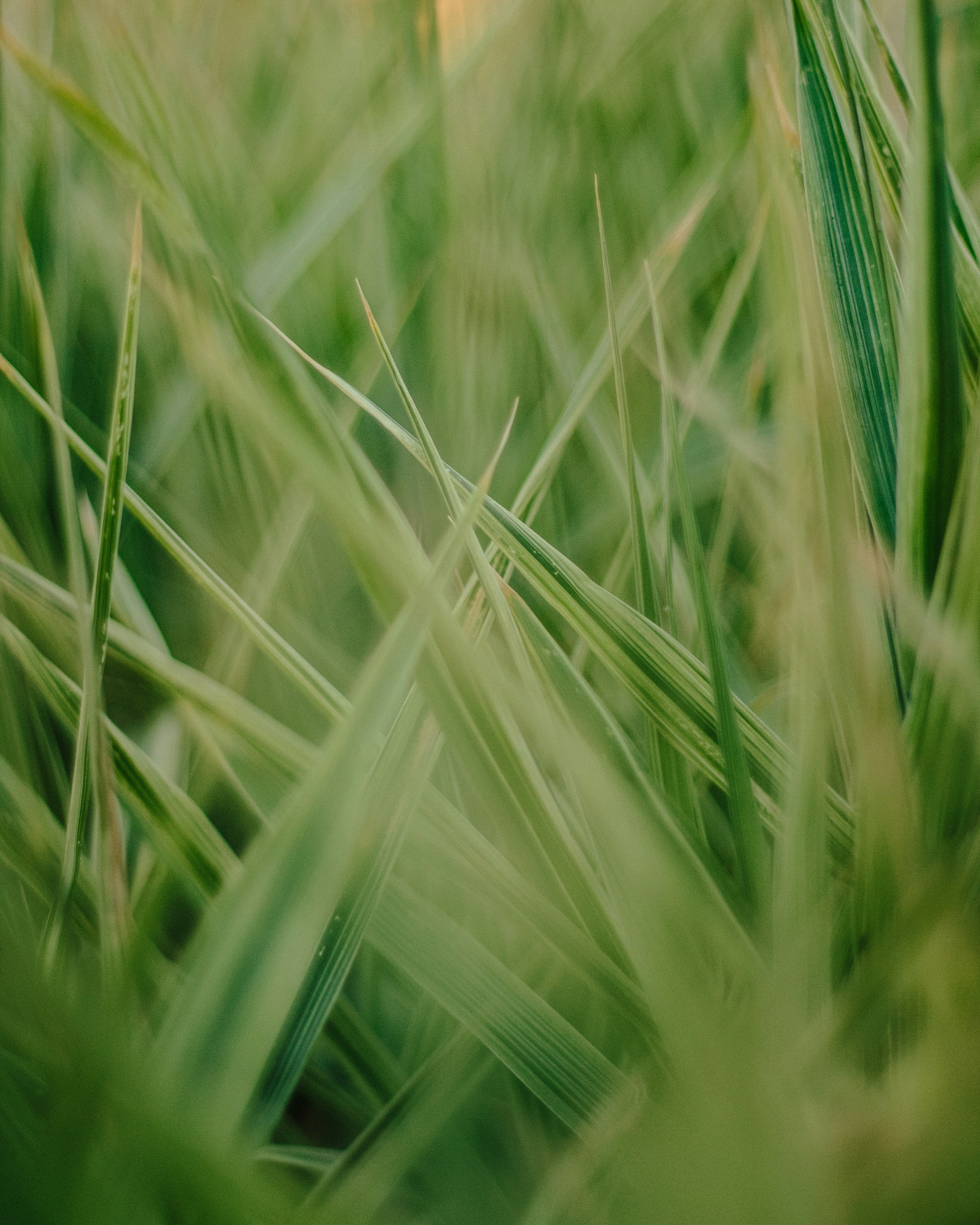 Photo by thewayofcolor