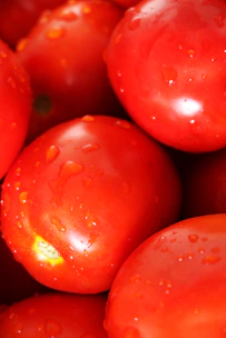 Close-up of fresh, vibrant tomatoes with natural textures and droplets of water.
