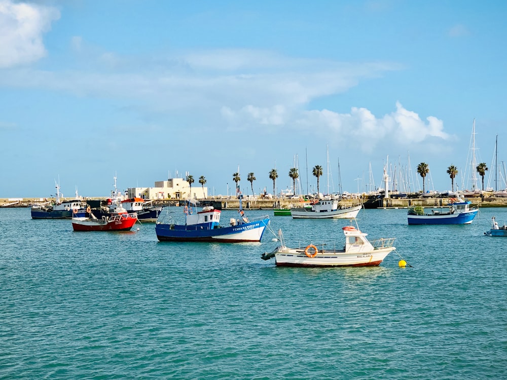 assorted-color boats