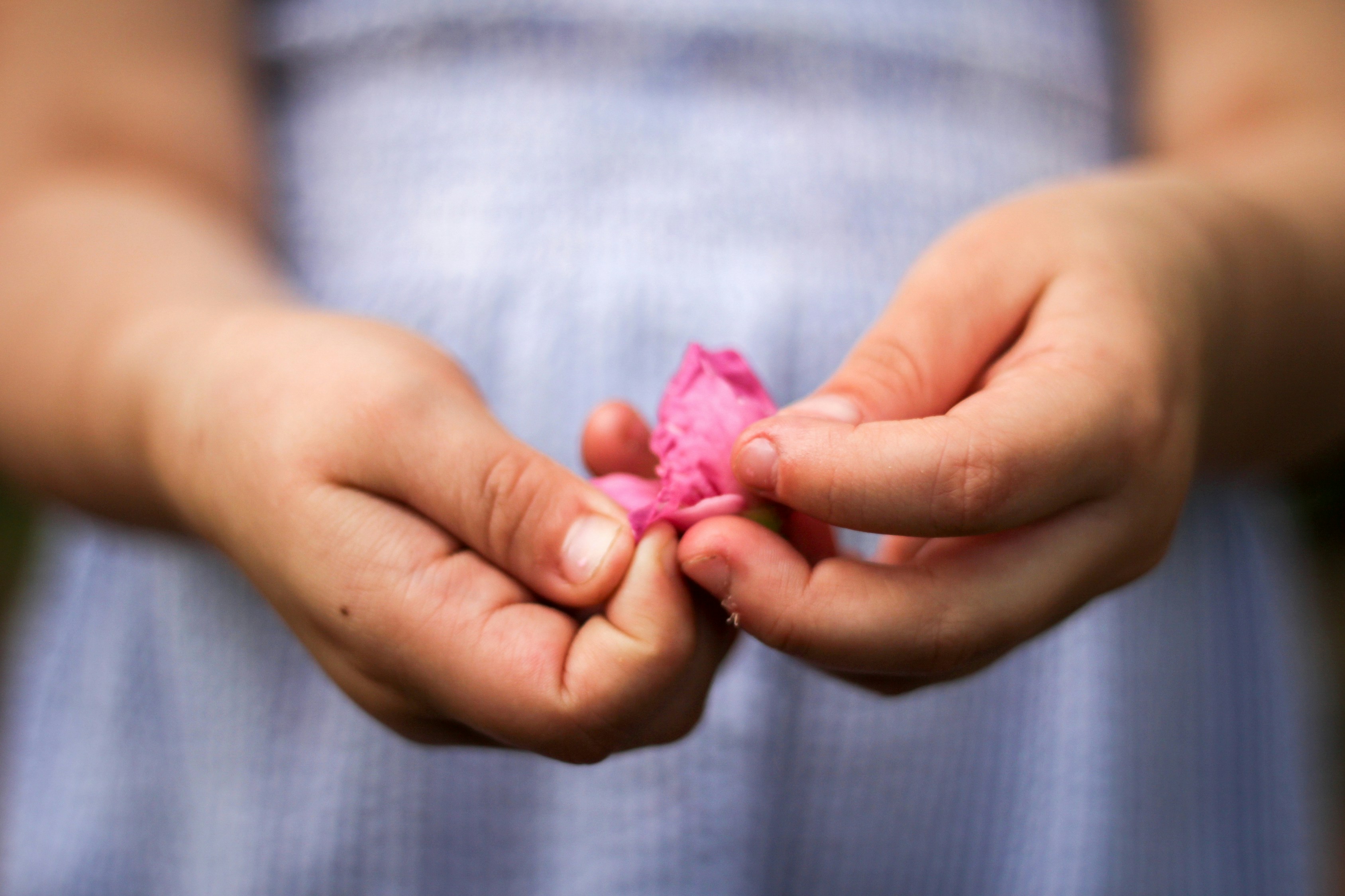 little girl holding flower