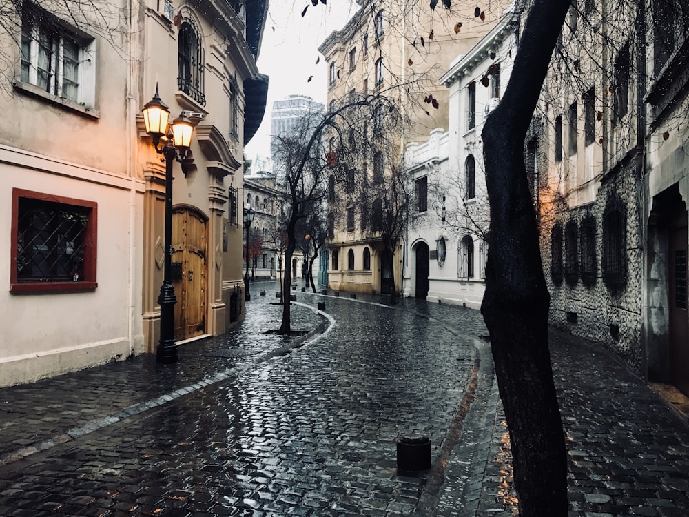 empty alley during daytime