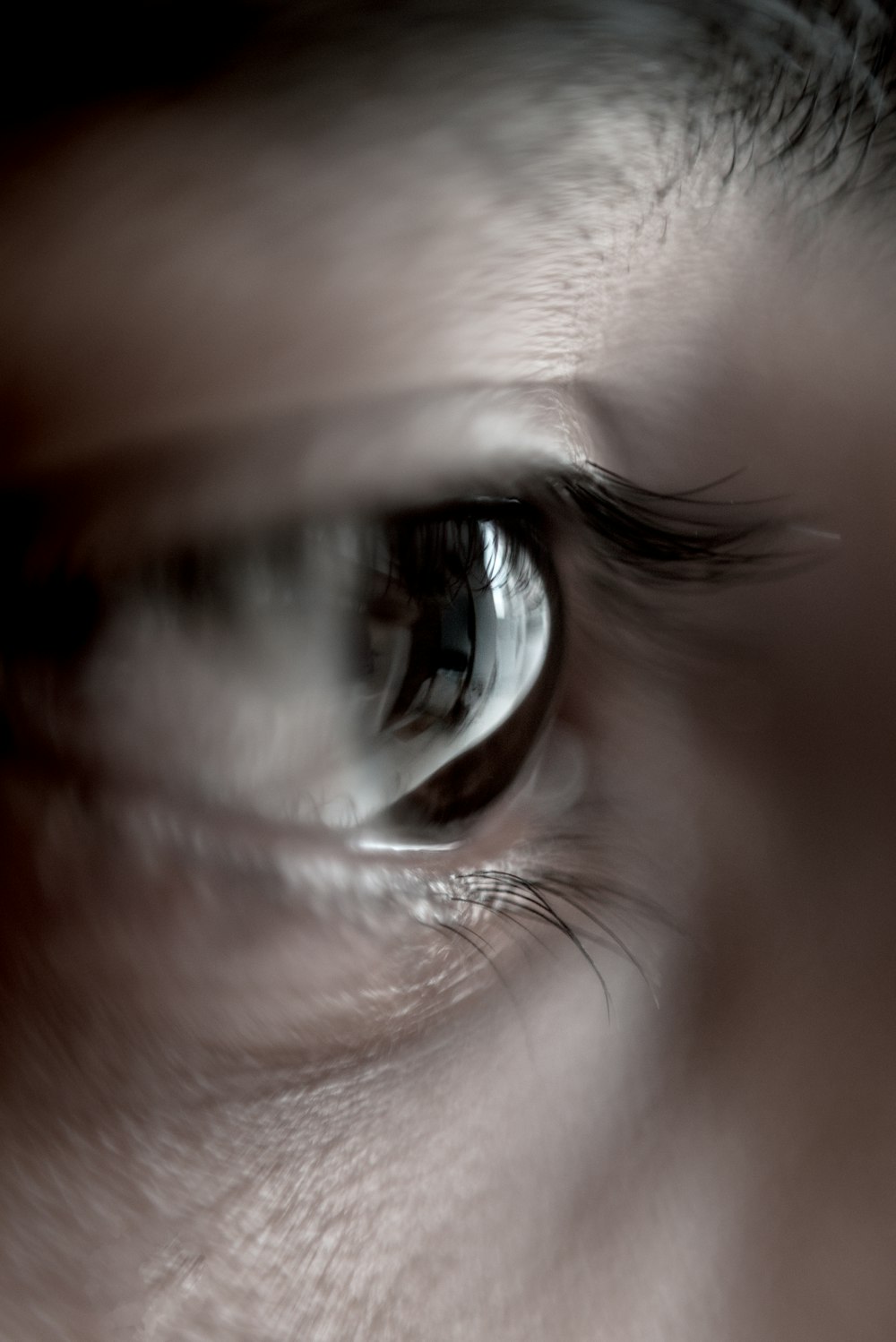 Human eye photo – Free Depression Image on Unsplash