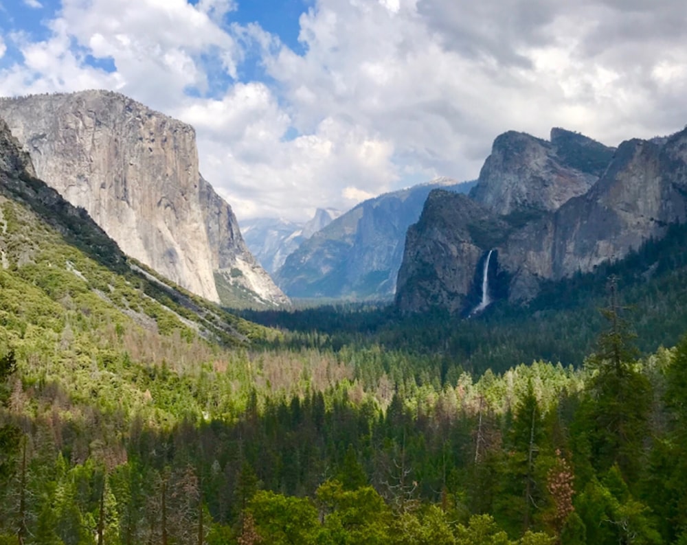 green trees and rock mountains at daytime