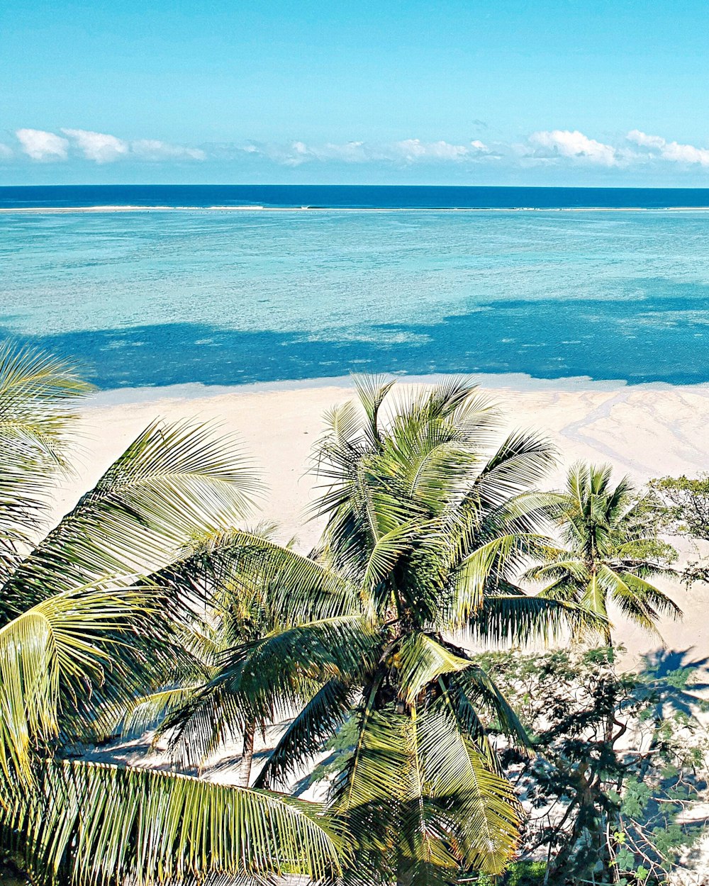 landscape photo of a sandy beach