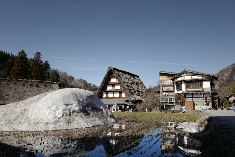 white and gray houses