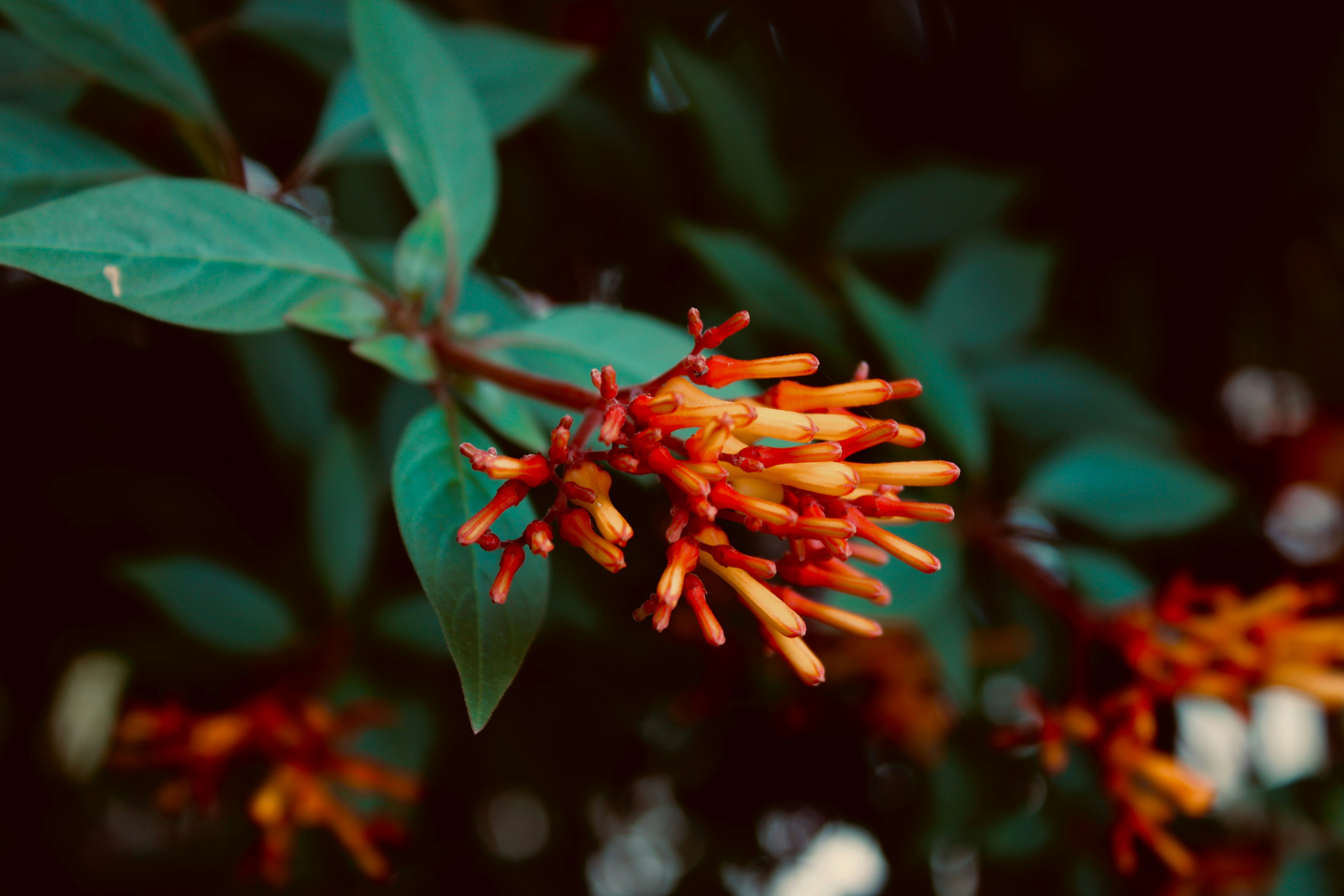 Photo by noelphilip13