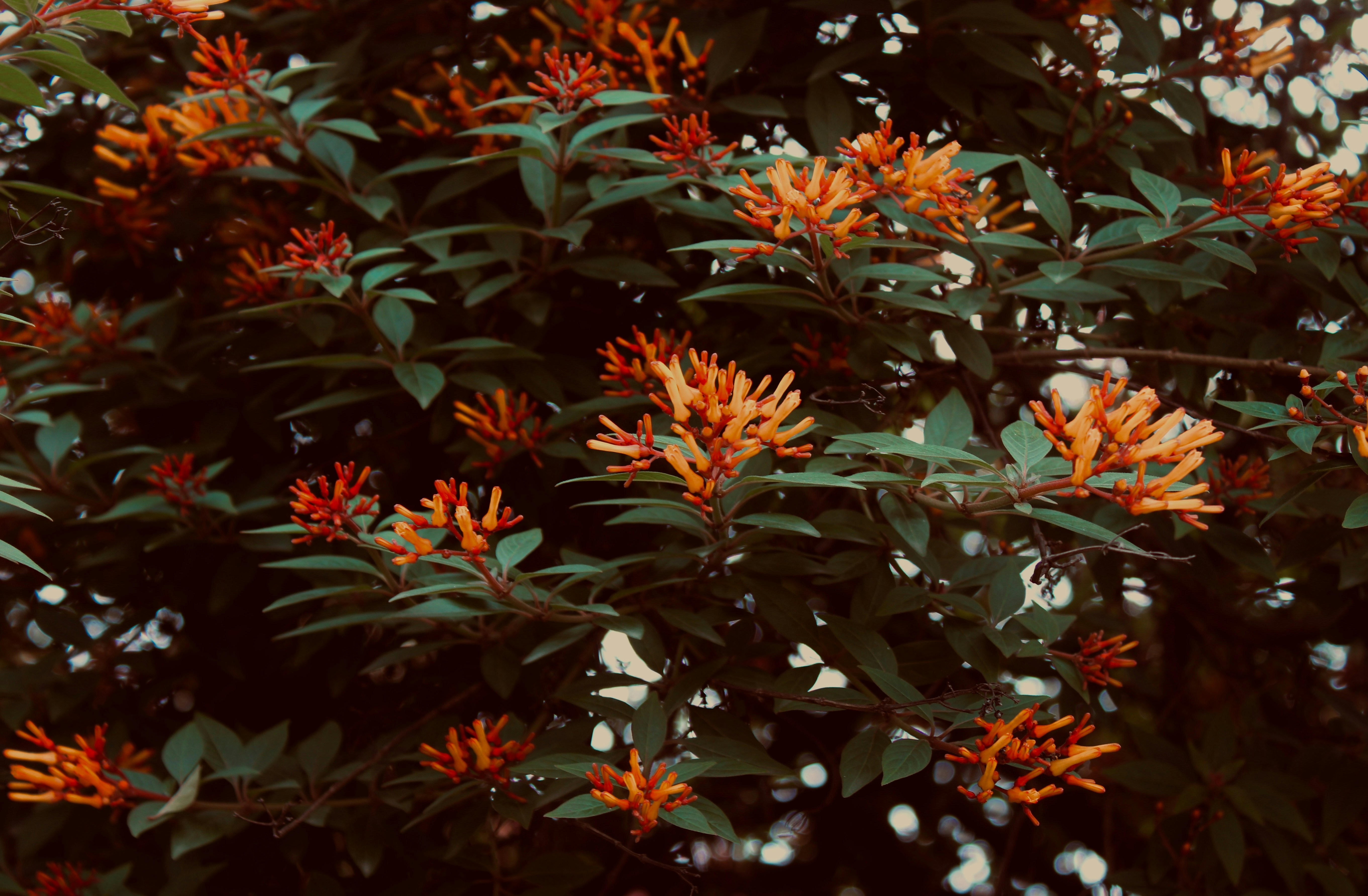 Photo by noelphilip13