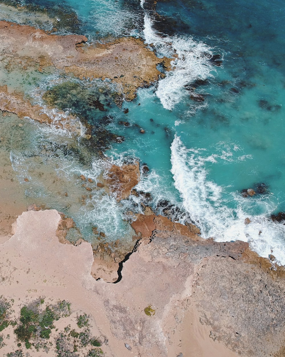 aerial photo of beach