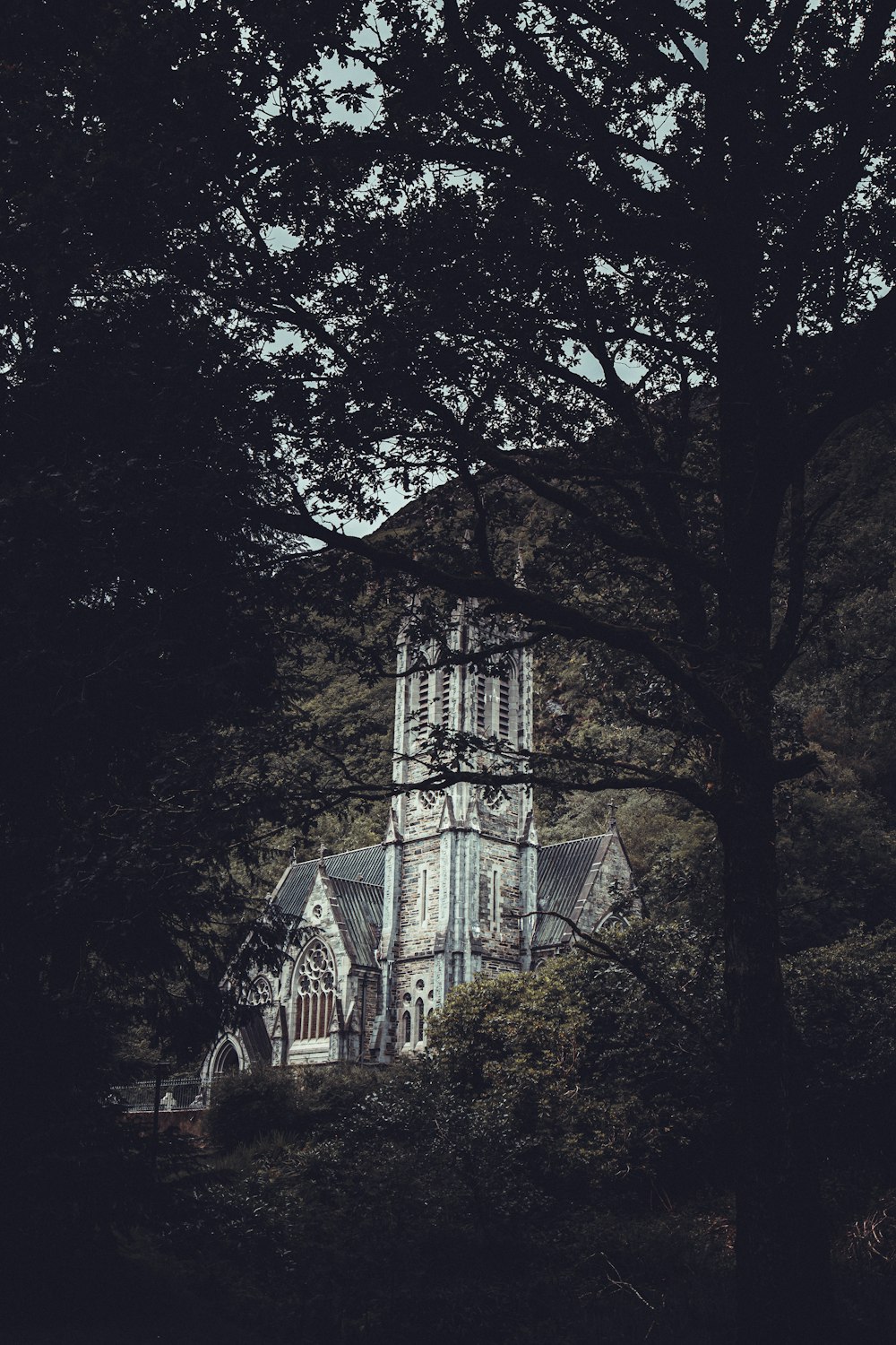 Weiße Kirche mit Bäumen an den Seiten