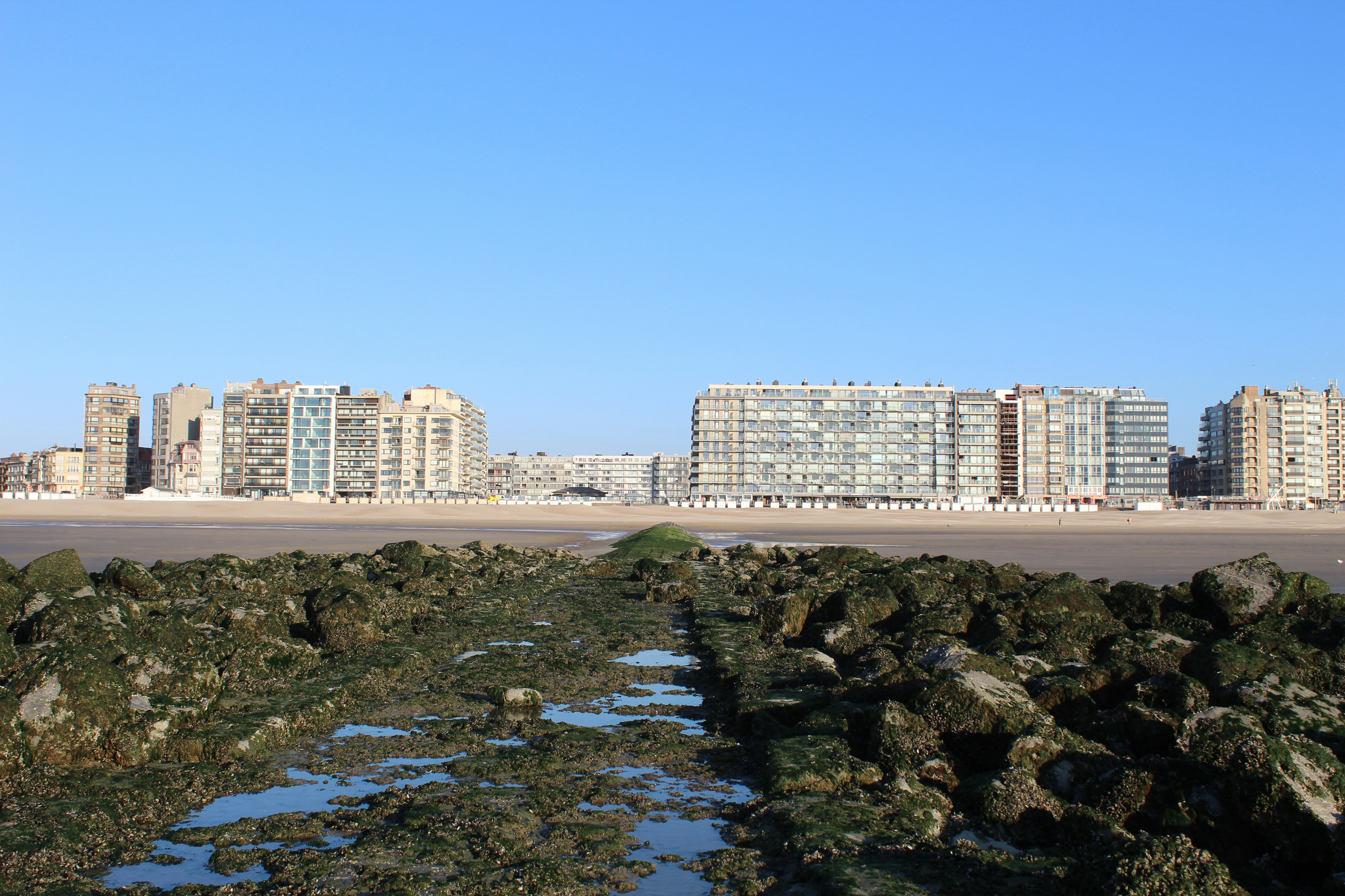 Photo by larissa_gyselinck