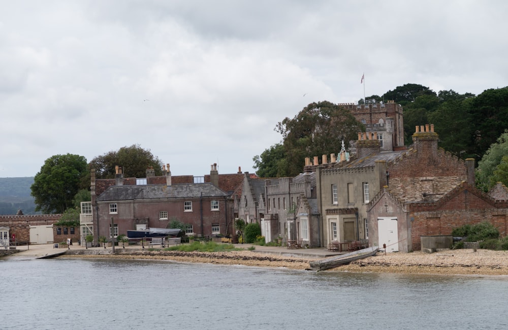 brown castle near sea surrounded with tall and green trees