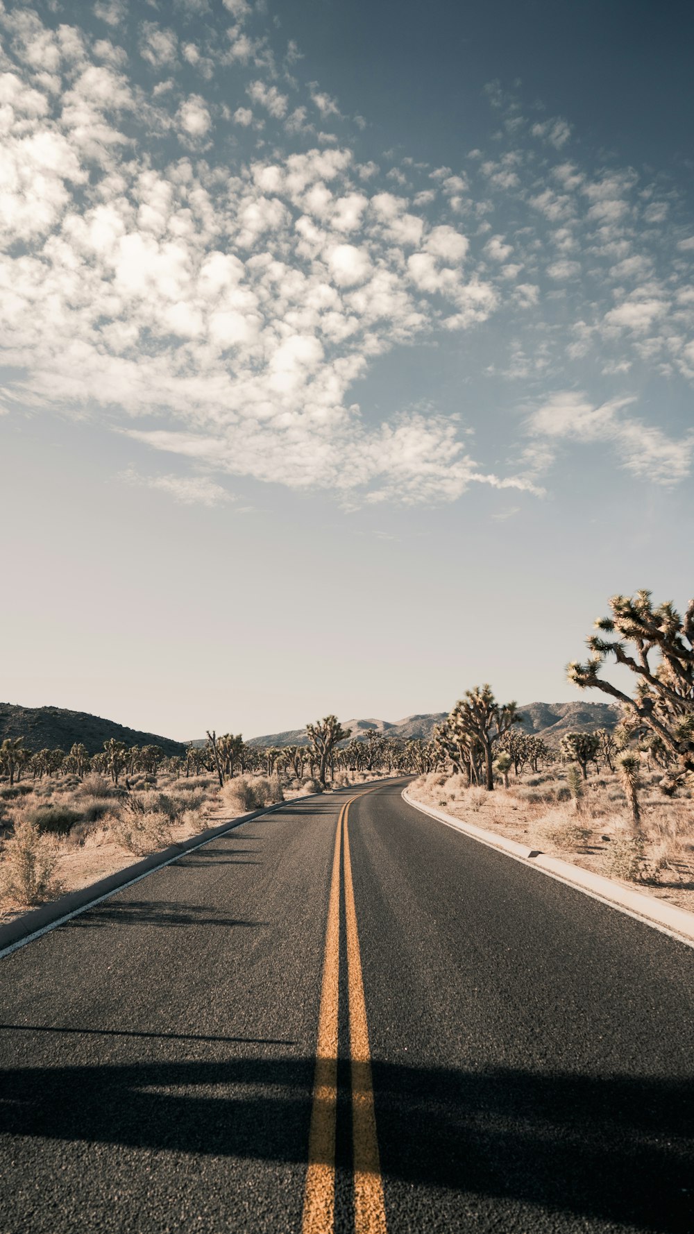 grey concrete road with no vehicle under white and blue skies