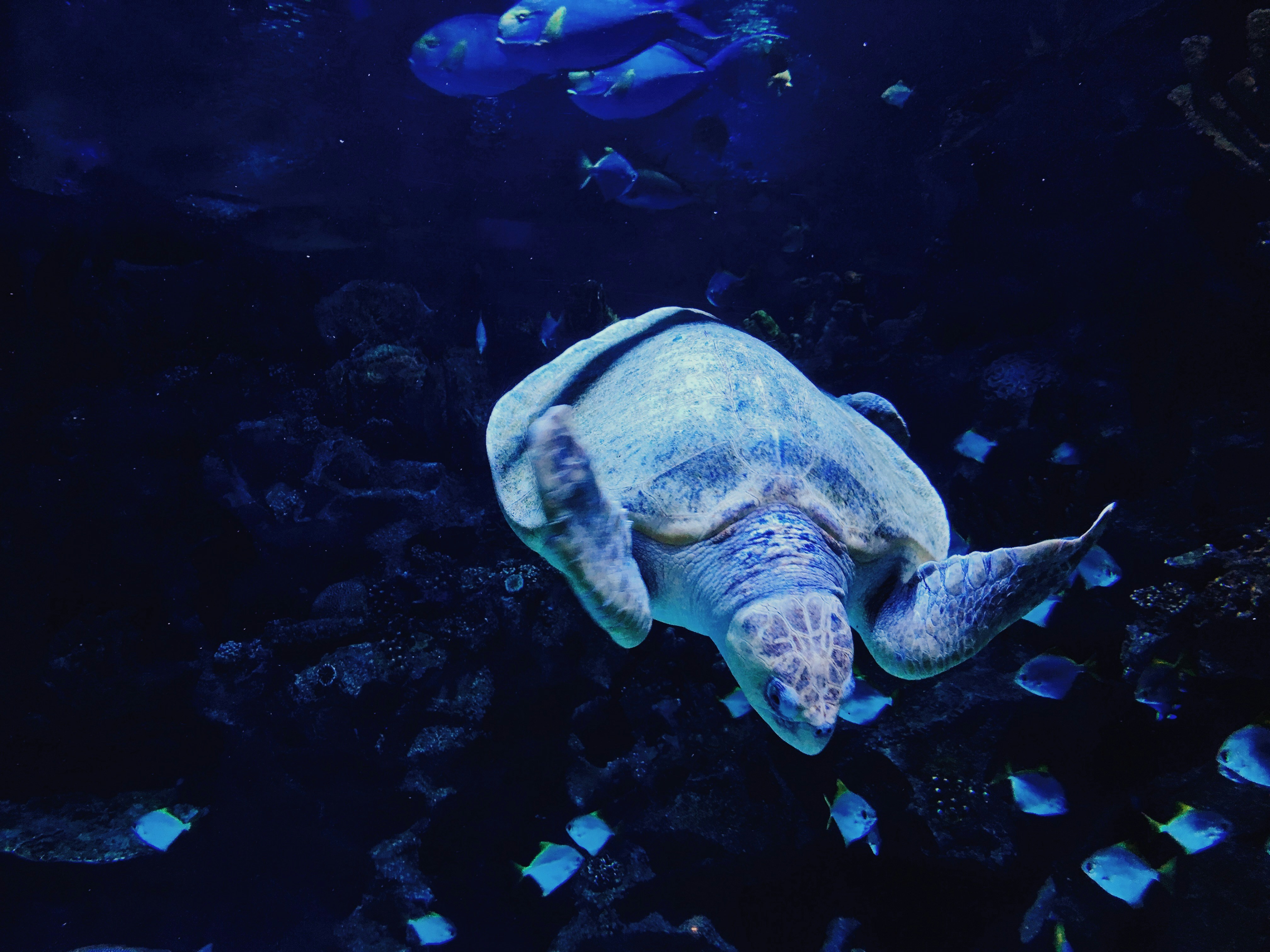 Photo by leannk_official