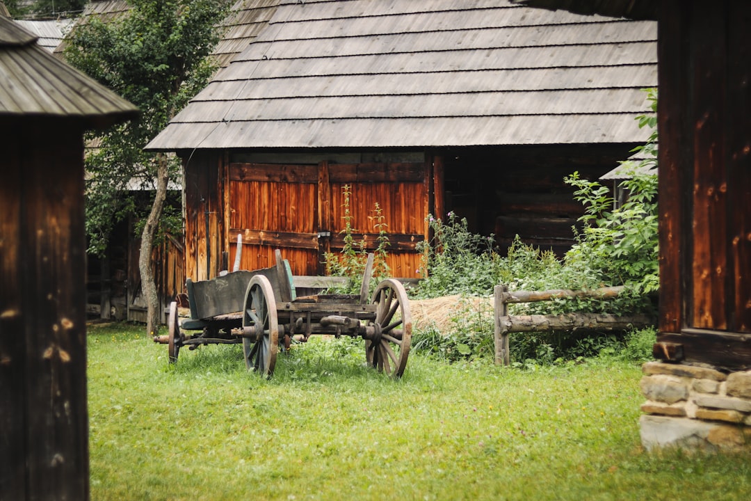 brown wooden carriage on grass lawn