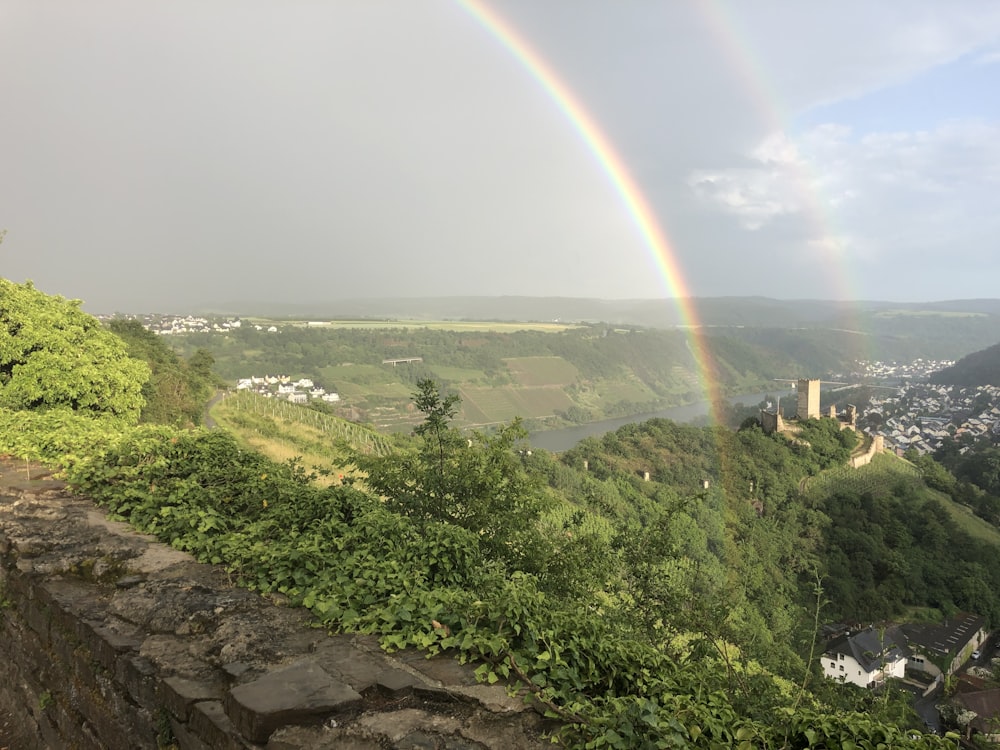 rainbow and green field