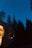 A camper van is parked among tall pine trees at night, with a warmly lit interior contrasting against the dark silhouette of the trees. The starry sky provides a serene backdrop, creating a sense of tranquility and adventure.