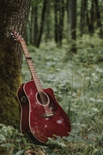 red cutaway acoustic guitar leaning on tree