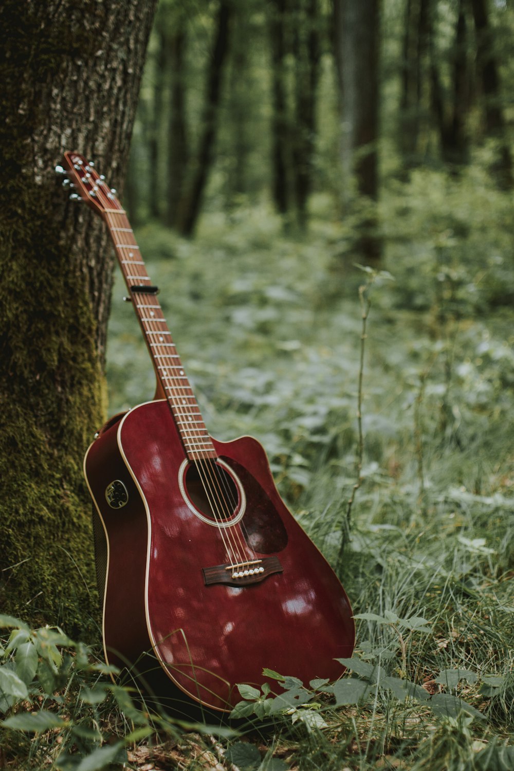 red cutaway acoustic guitar leaning on tree