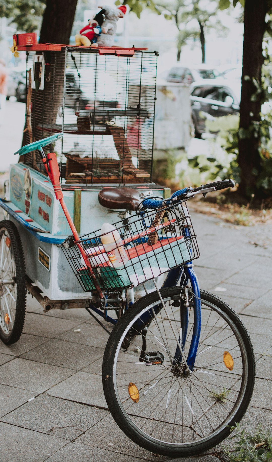 blue and red adult trike ]