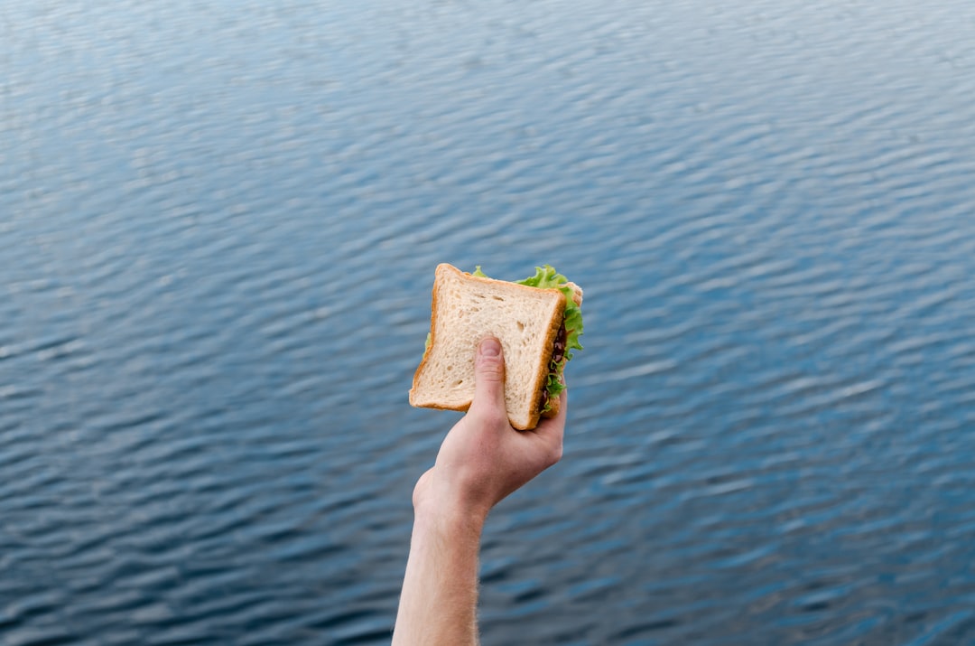 person holding sandwich