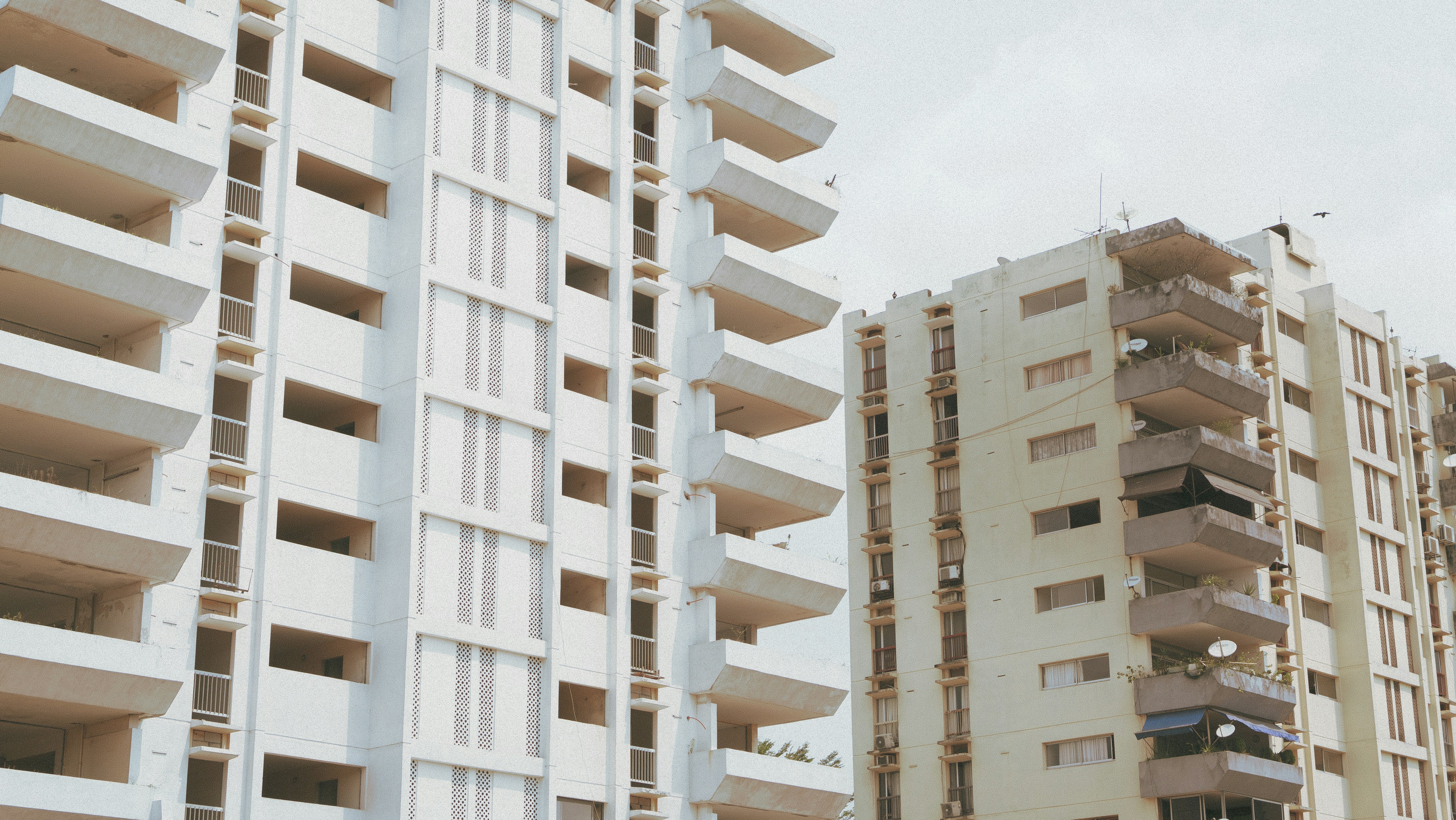 Photo by snakeyter04