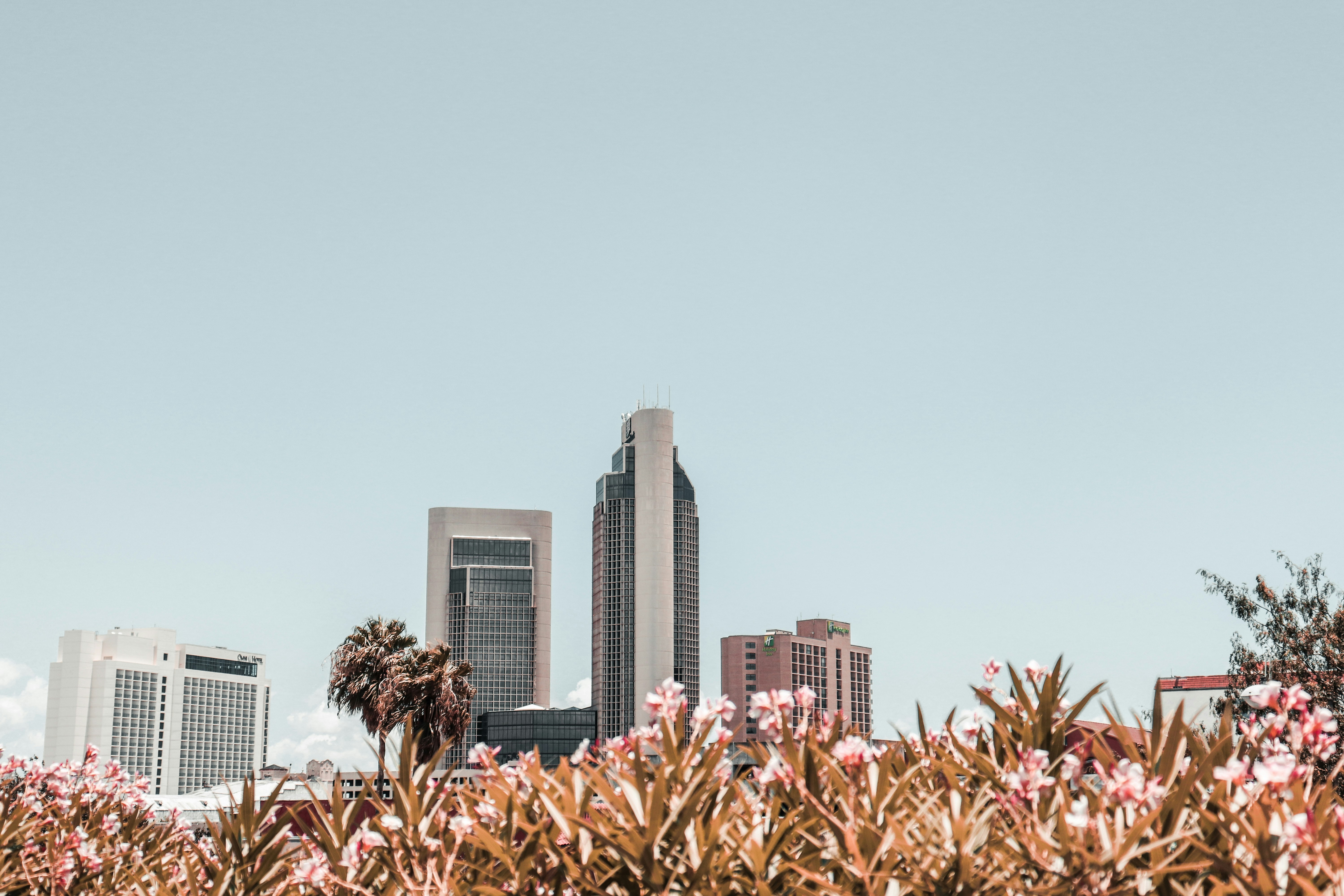 white high-rise building