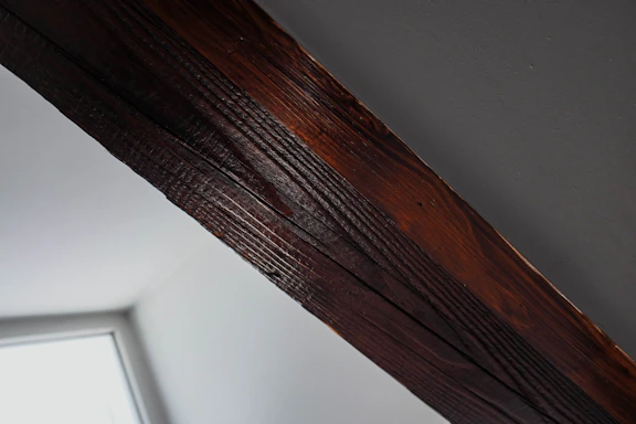A friendly technician inspecting a wooden beam for termite damage in a cozy home.
