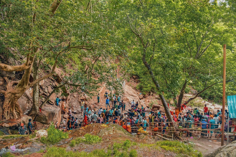 people near tree