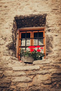 Smooth window sills and heads made from natural stone, framing a bright window with flowering plants.