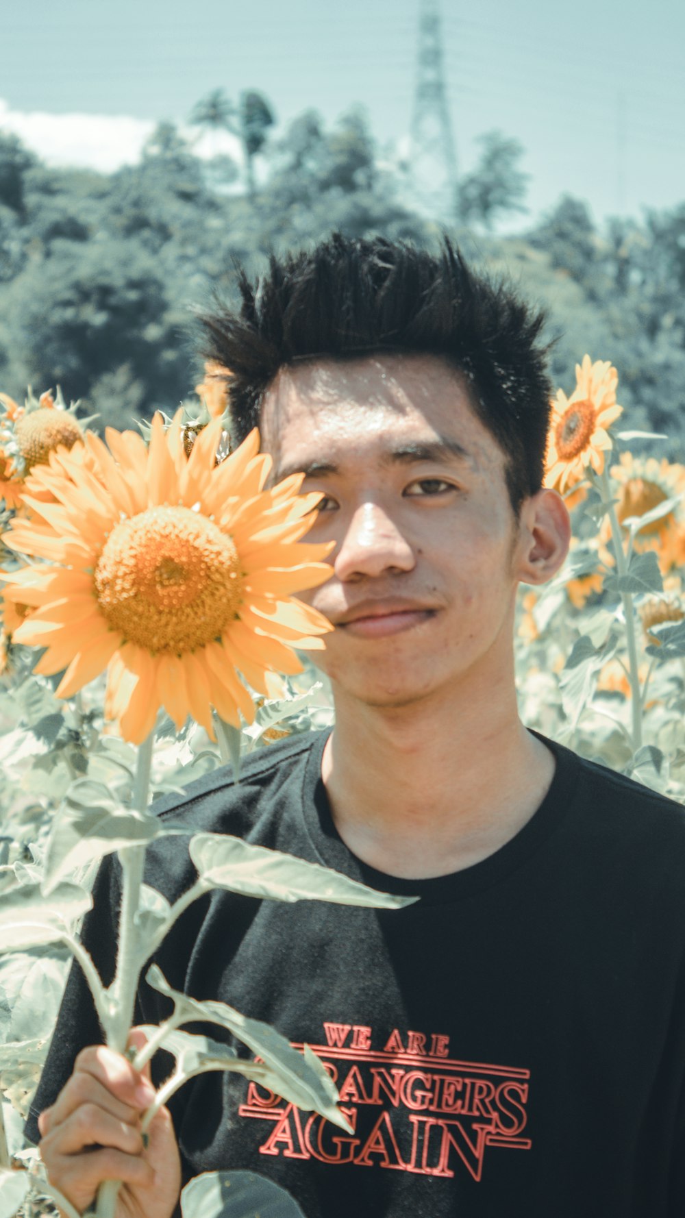 Asian Girl Sunflowers | HD photo by Kim Tayona (@kimtayona2) on Unsplash