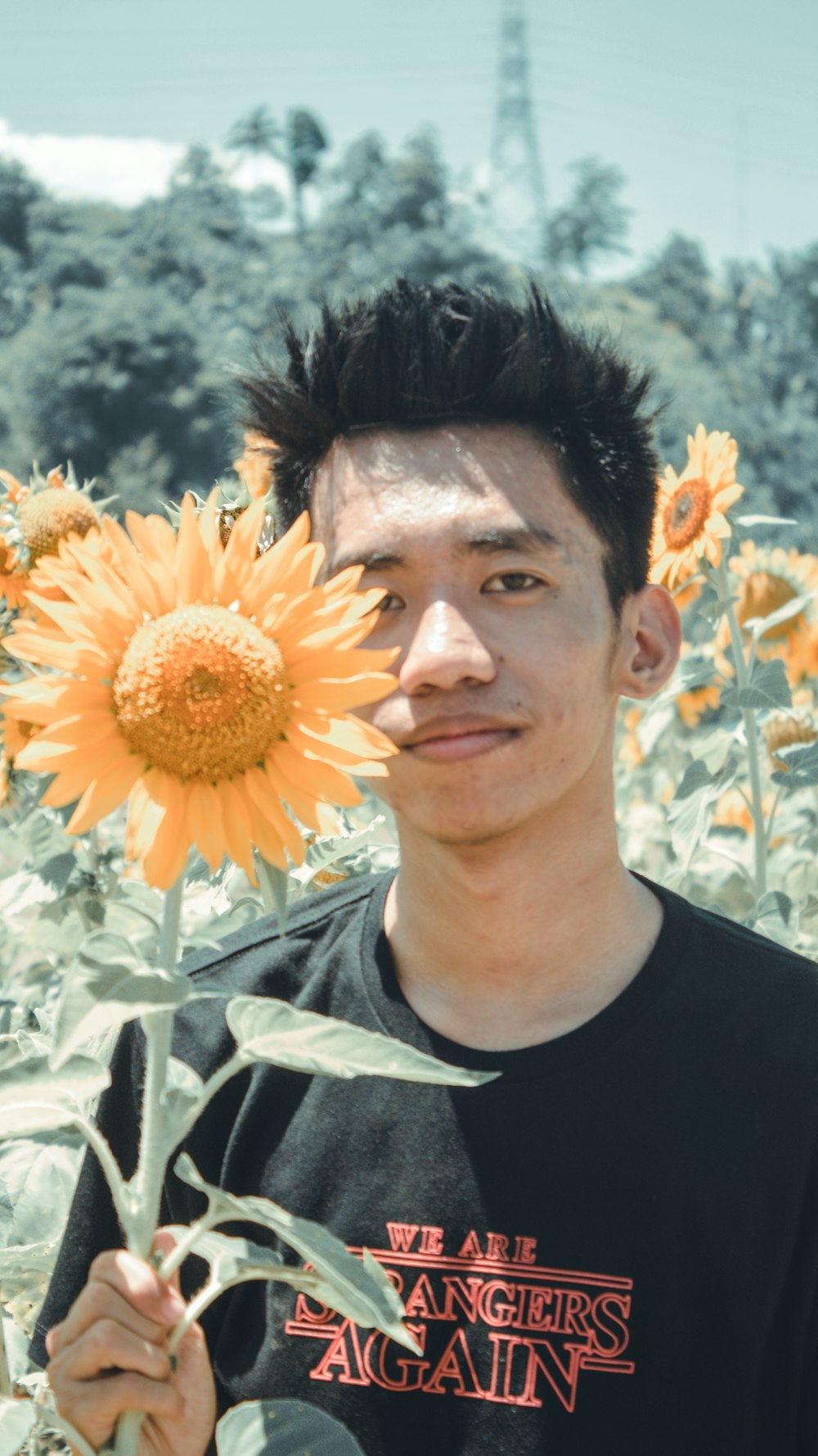man standing near sunflower field
