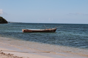 brown boat near shore