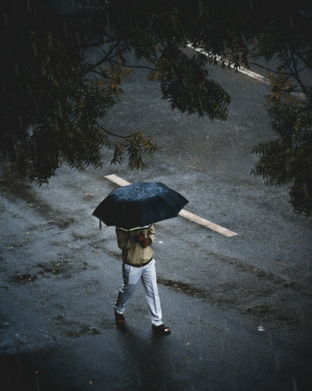 person holding black umbrella