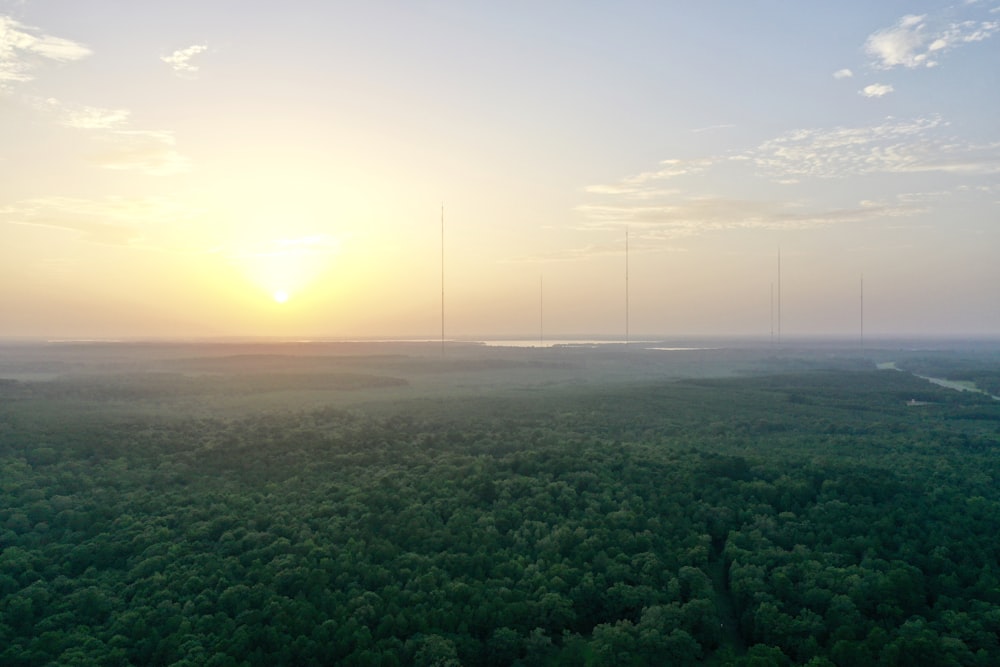 aerial view of landscape during daytime