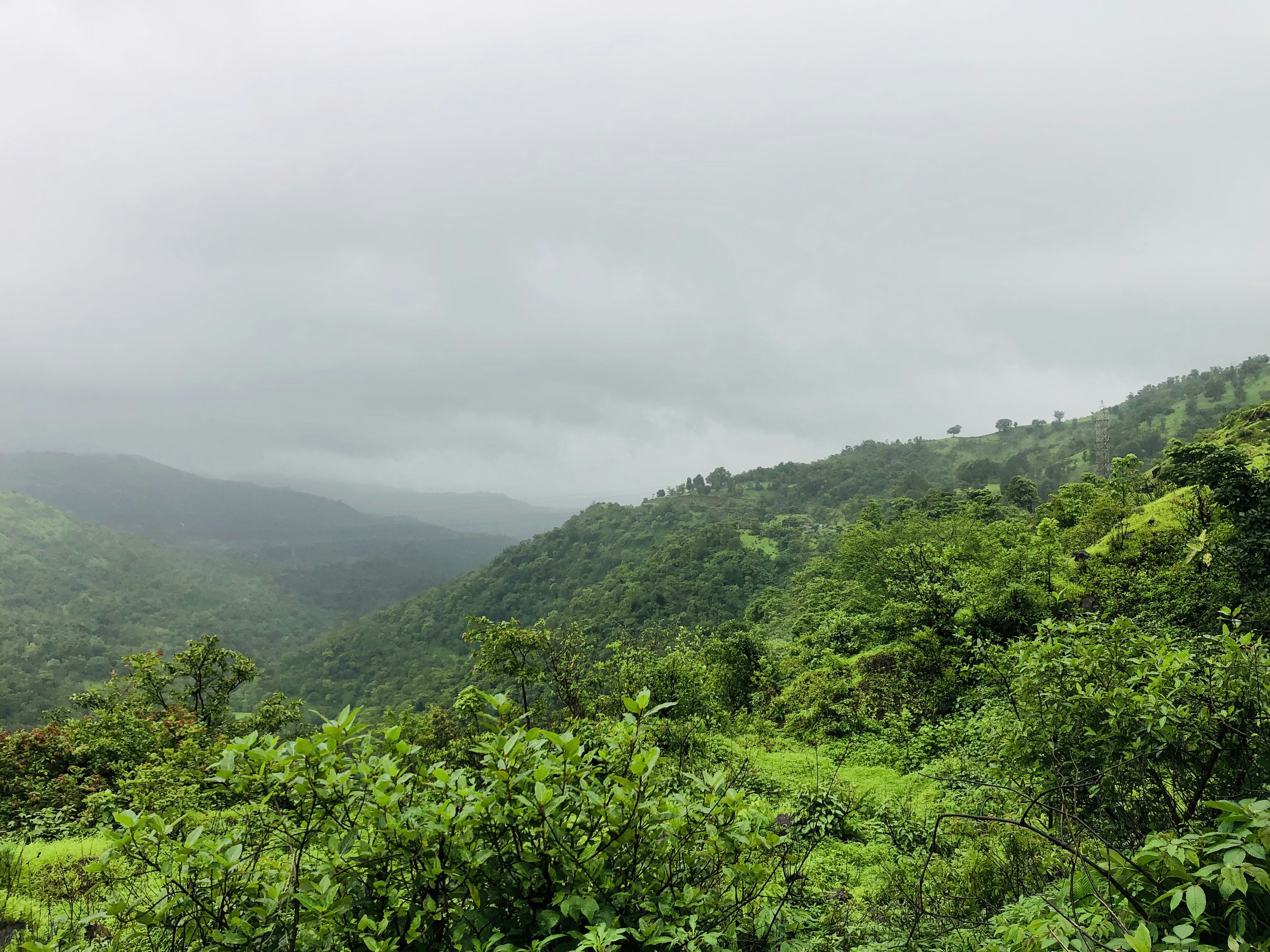 Photo by nkishore101