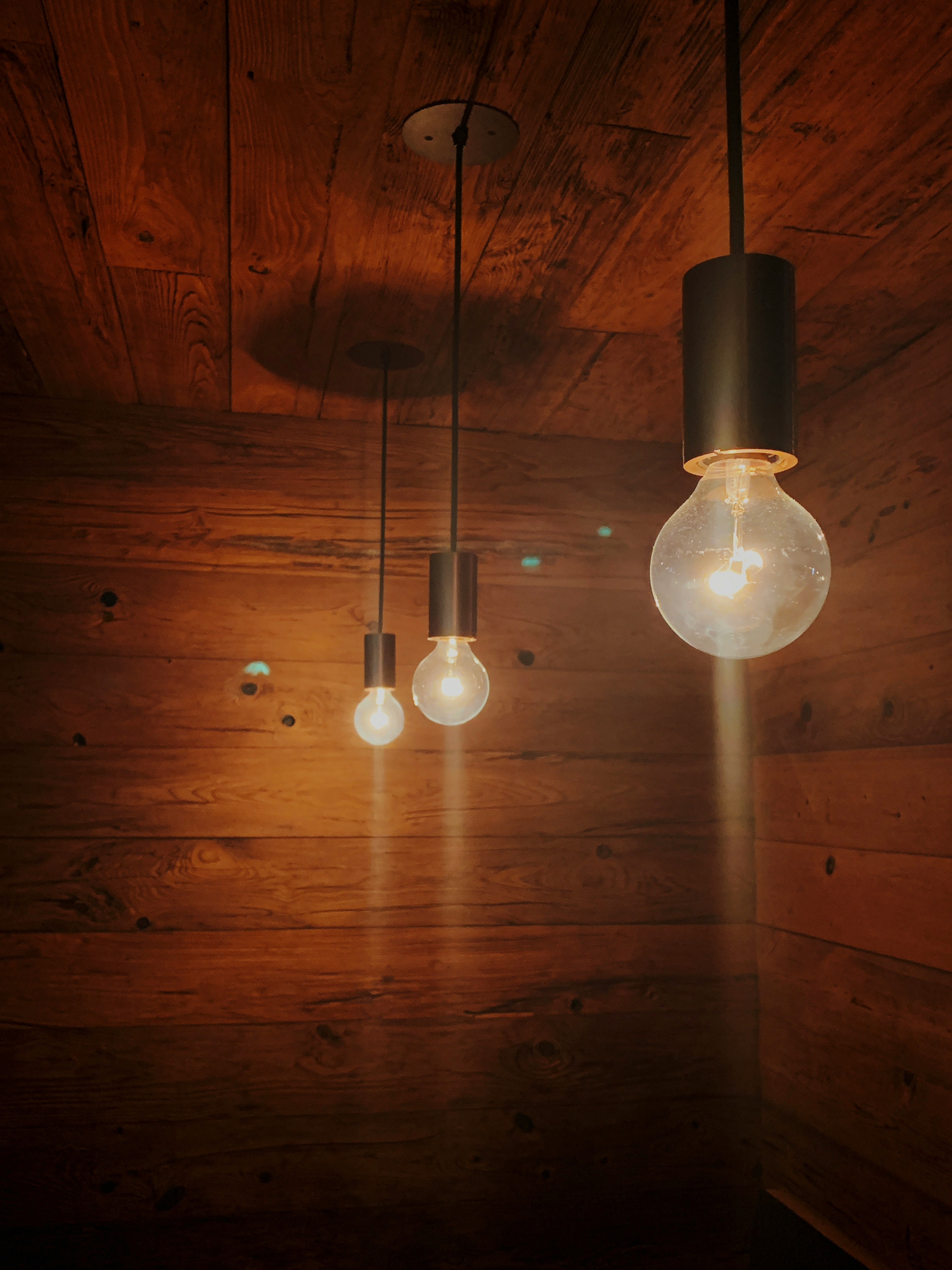 closeup photo of lighted hanging light bulbs