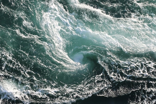 body of water during daytime