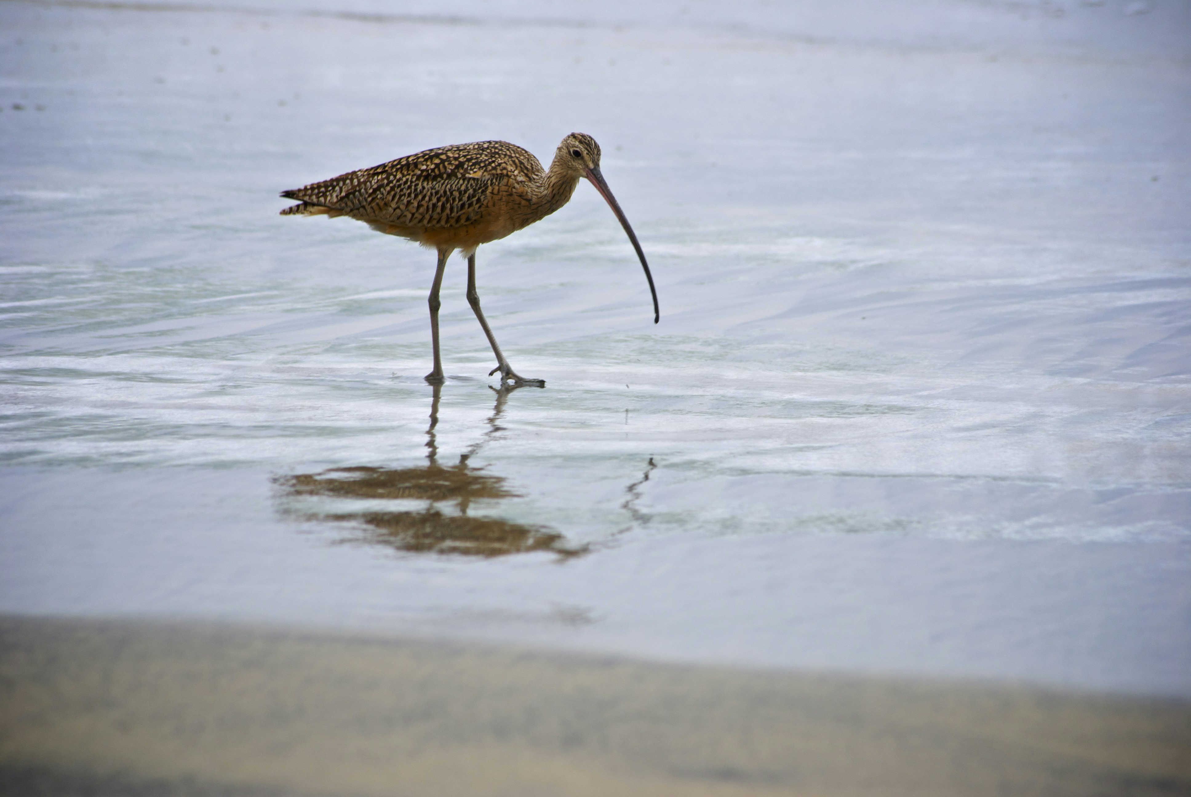 Photo by variantmedia