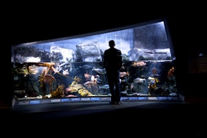 A person stands silhouetted against a large, well-lit aquarium exhibit, observing a variety of fish and underwater plants. The aquarium is filled with rocks and corals, creating a naturalistic underwater environment.