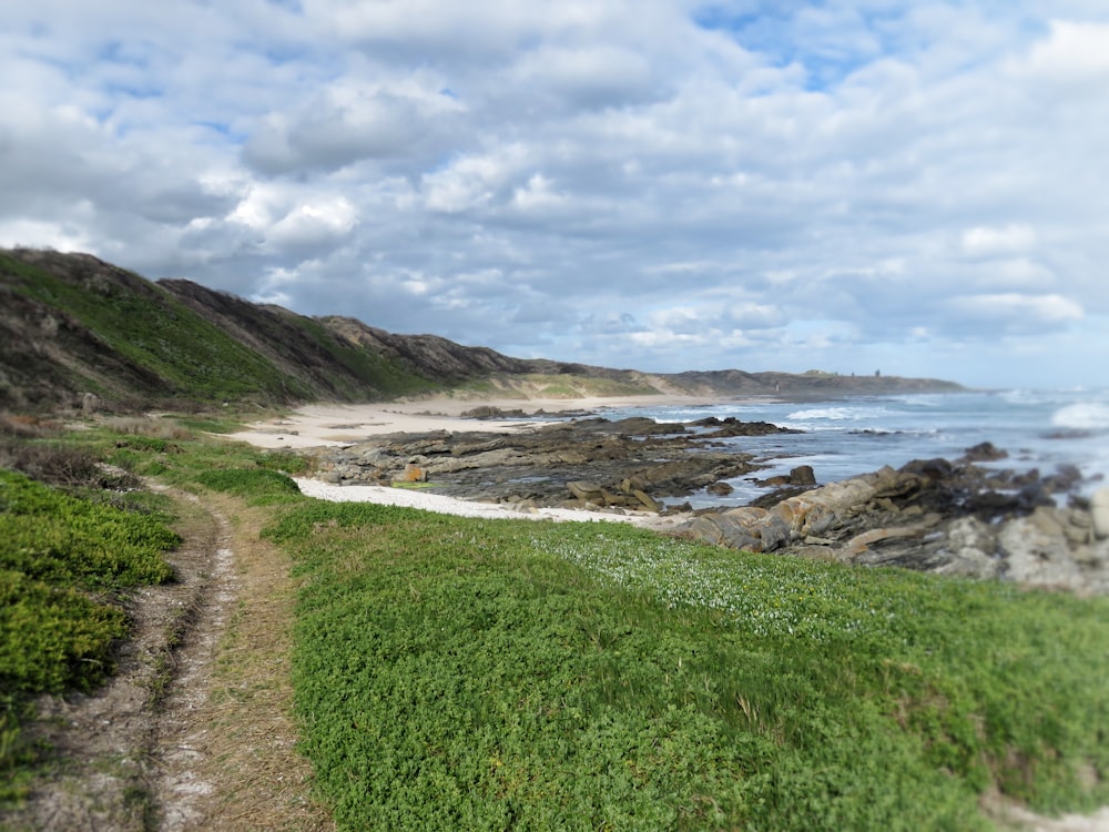 road in between grass field near seashore during daytime