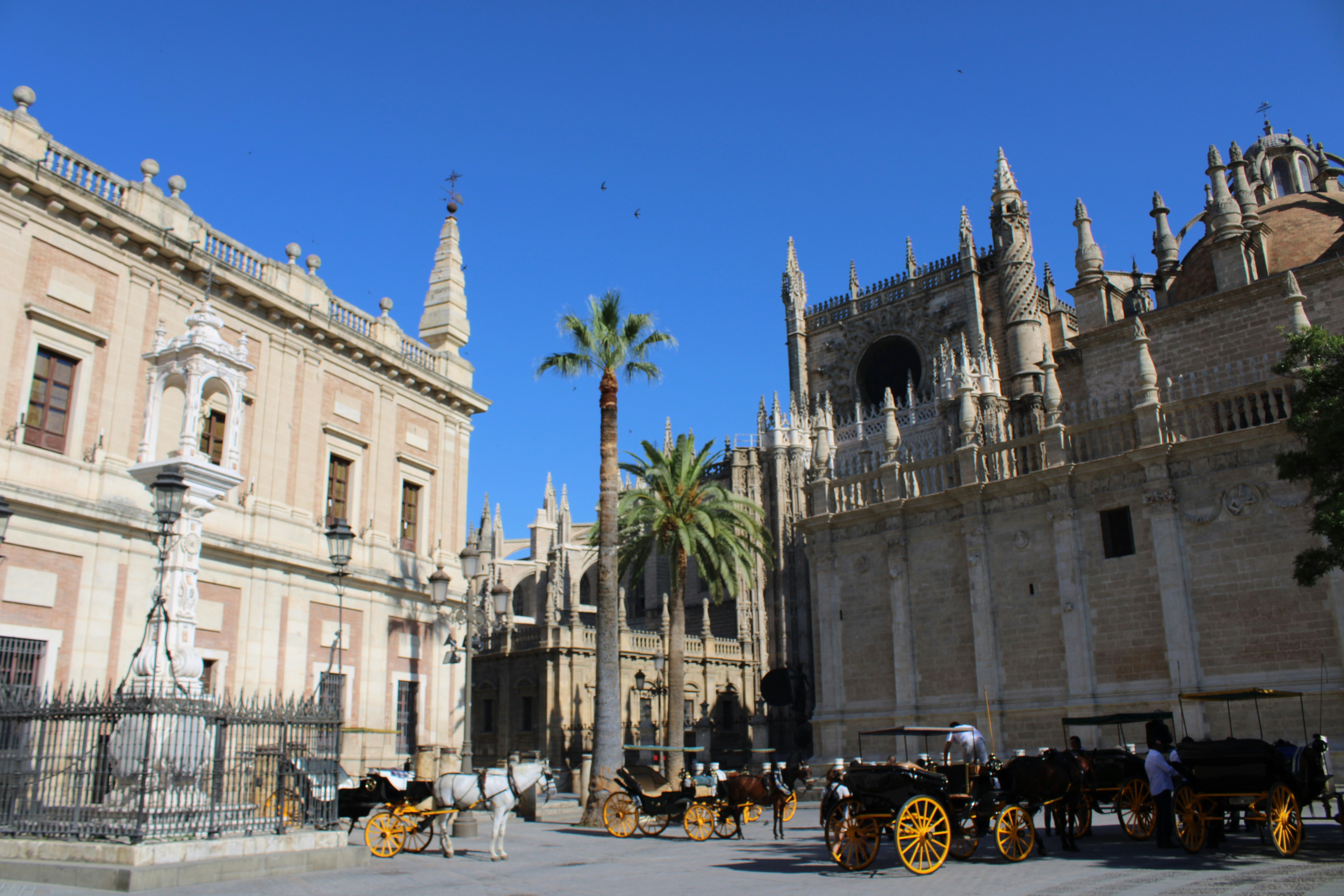 Photo by lottiegriffiths