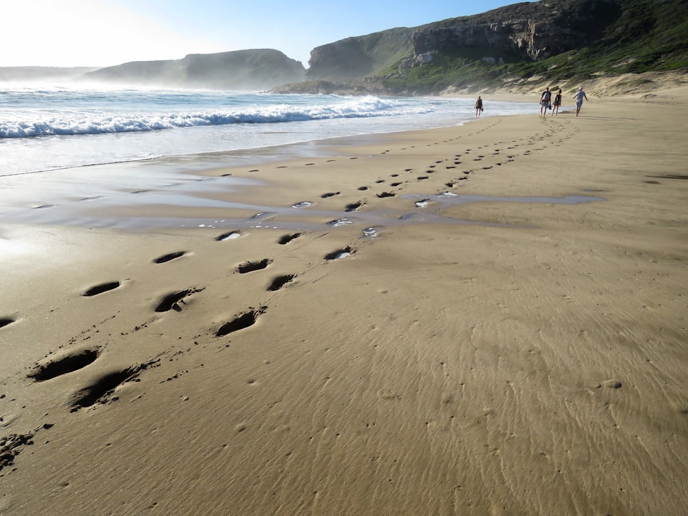 people walking on seashore during daytime