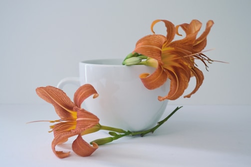 white cup with two beige lilies
