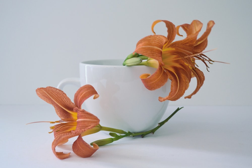 white cup with two beige lilies