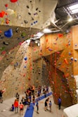people in rock climbing room