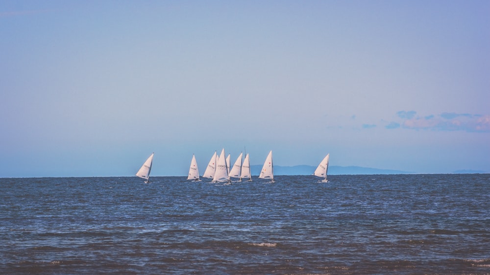 Veleiros no oceano durante o dia