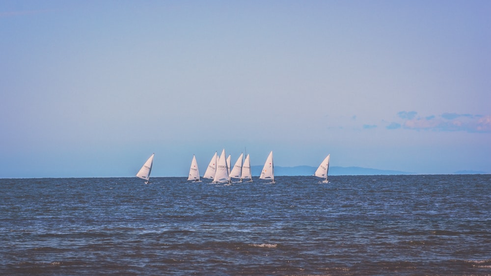 sail boats on ocean during daytime